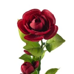 Burgundy Ranunculus Spray By Ashland® -Michaels 10626427 20