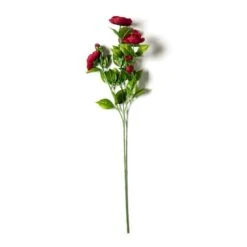Burgundy Ranunculus Spray By Ashland®
