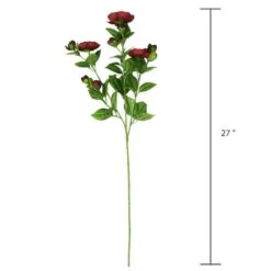 Burgundy Ranunculus Spray By Ashland® -Michaels 10626427 3