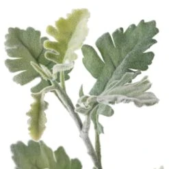 Frosted Dusty Miller Spray Stem By Ashland® -Michaels 10626451 20