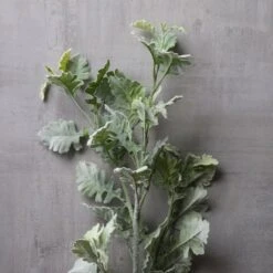 Frosted Dusty Miller Spray Stem By Ashland® -Michaels 10626451 22