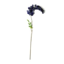 Dark Blue Wisteria Stem By Ashland®