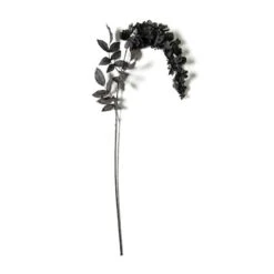 Black Wisteria Stem By Ashland®