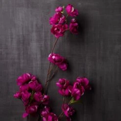 Mauve Anemone Stem By Ashland® -Michaels 10626465 22