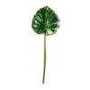 Monstera Leaf Stem By Ashland® -Michaels 10626467 21