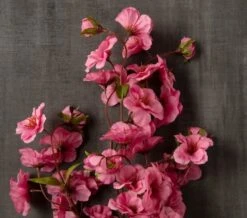 Mauve Peach Blossom Stem By Ashland® -Michaels 10626479 25