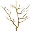 3ft. Bare Birch Branch By Ashland®