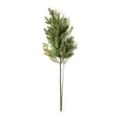 Evergreen Branch By Ashland®