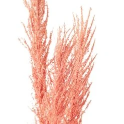 Peach Pampas Grass Stem By Ashland® -Michaels 10626520 20