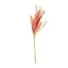 Peach Pampas Grass Stem By Ashland® -Michaels 10626520 21