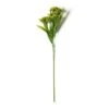 Green Queen Anne's Lace Stem By Ashland® 1 Green Queen Anne's Lace Stem By Ashland® -Michaels 10626560 21