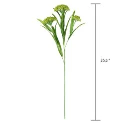 Green Queen Anne's Lace Stem By Ashland® 11 Green Queen Anne's Lace Stem By Ashland® -Michaels 10626560 3