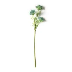 Blue Queen Anne's Lace Stem By Ashland®