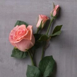 Blush Faux Real Rose Stem By Ashland® -Michaels 10626876 22