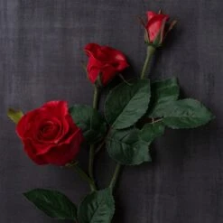 Red Faux Real Rose Stem By Ashland® -Michaels 10626884 25