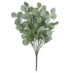 Eucalyptus Bush By Ashland®
