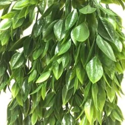Hanging Ruscus Bush By Ashland® -Michaels 10626982 2