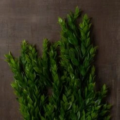 Hanging Ruscus Bush By Ashland® -Michaels 10626982 25