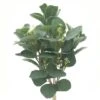 Silver Dollar & Lamb's Ear Bush By Ashland® -Michaels 10626983