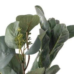 Silver Dollar & Lamb's Ear Bush By Ashland® -Michaels 10626983 20