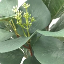 Silver Dollar & Lamb's Ear Bush By Ashland® -Michaels 10626983 3