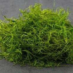 SuperMoss® Preserved Spanish Moss, Grass Green -Michaels 10627575 21