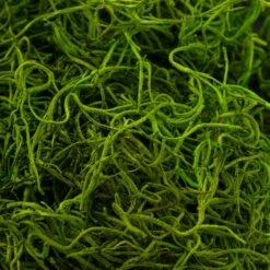 SuperMoss® Preserved Spanish Moss, Grass Green -Michaels 10627575 22