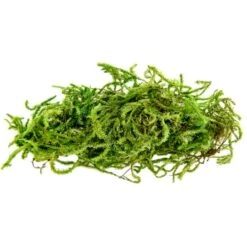 SuperMoss® Preserved Moss -Michaels 10627578 1