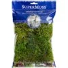SuperMoss® Preserved Moss -Michaels 10627578 10