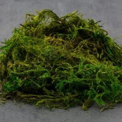 SuperMoss® Preserved Moss -Michaels 10627578 21