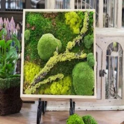 SuperMoss® Instant Green® Sticky All-Purpose Moss Mat -Michaels 10627581 2