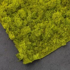 SuperMoss® Instant Green® Sticky All-Purpose Moss Mat -Michaels 10627581 21