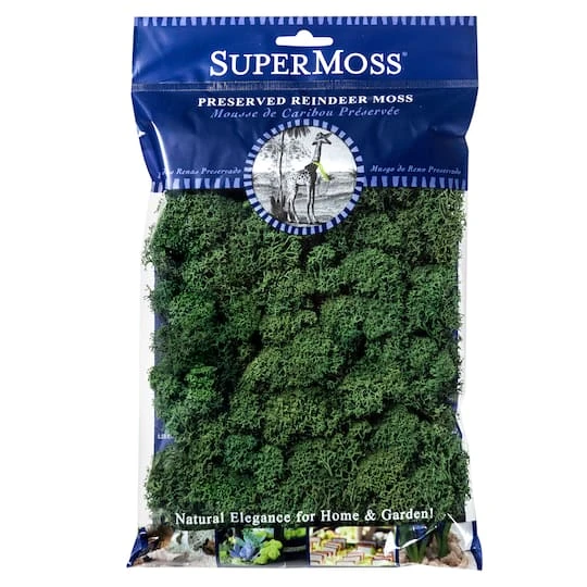 SuperMoss® Preserved Reindeer Moss, Forest 3 SuperMoss® Preserved Reindeer Moss, Forest