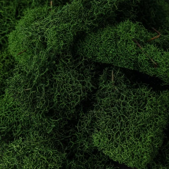 SuperMoss® Preserved Reindeer Moss, Forest 10 SuperMoss® Preserved Reindeer Moss, Forest - Image 8
