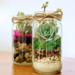 SuperMoss® Preserved Reindeer Moss, Forest 12 SuperMoss® Preserved Reindeer Moss, Forest -Michaels 10628604 3