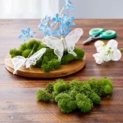 SuperMoss® Basil Reindeer Moss -Michaels 10629837 20