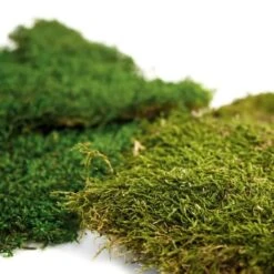 SuperMoss® Preserved Sheet Moss -Michaels 10629850 4