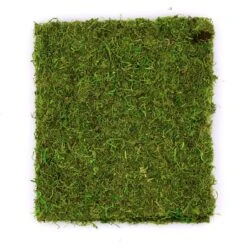 SuperMoss® Instant Green All-Purpose Moss Mat -Michaels 10629852 2
