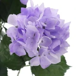 Purple Hydrangea Bush By Ashland® -Michaels 10677449 3