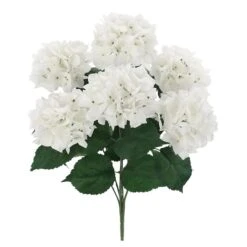 White Hydrangea Bush By Ashland®