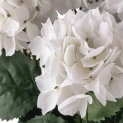 White Hydrangea Bush By Ashland® -Michaels 10677450 20