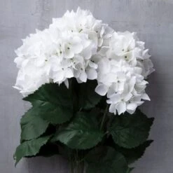 White Hydrangea Bush By Ashland® -Michaels 10677450 22