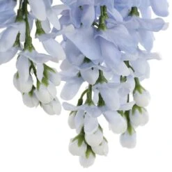 Blue Wisteria Bush By Ashland® -Michaels 10677460 6