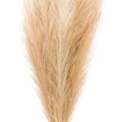 Wispy Pampas Grass Stem By Ashland® -Michaels 10679178 2