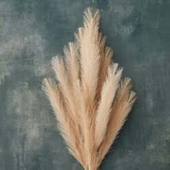 Wispy Pampas Grass Stem By Ashland® -Michaels 10679178 20