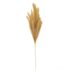 Wispy Pampas Grass Stem By Ashland® -Michaels 10679178 3