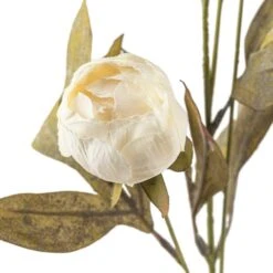 Cream Peony Stem By Ashland® -Michaels 10679180 20