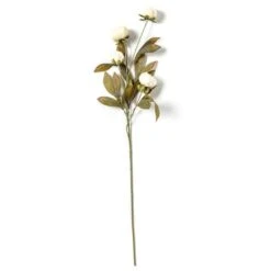 Cream Peony Stem By Ashland® -Michaels 10679180 21