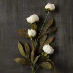 Cream Peony Stem By Ashland® -Michaels 10679180 25