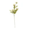 Tan Peony Stem By Ashland® -Michaels 10679183 1
